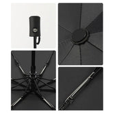 March 7th Umbrella
